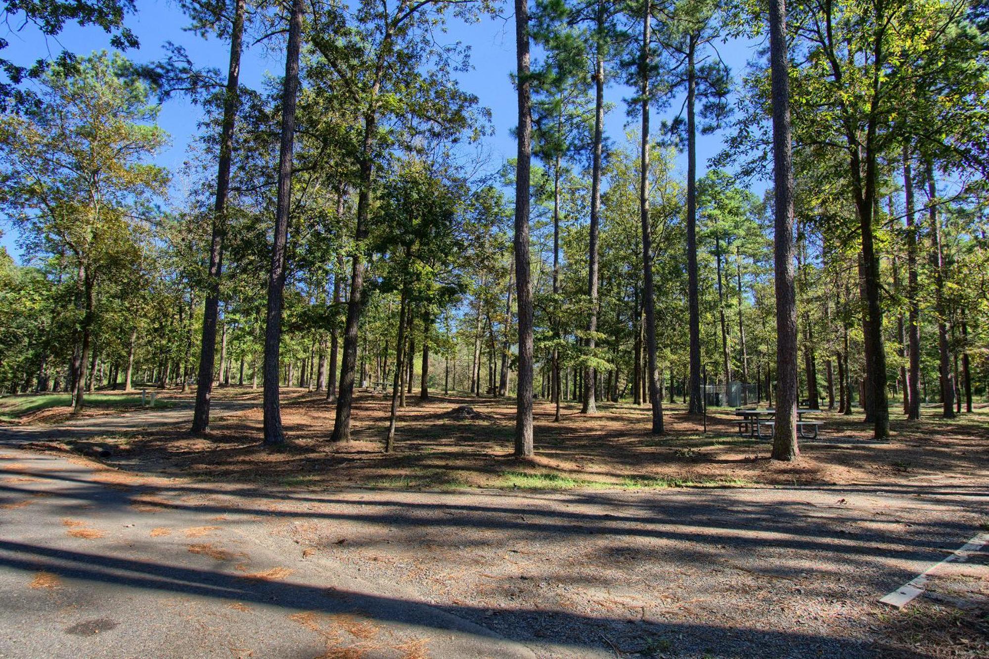 The Americana - Parker Creek Bend Cabins Murfreesboro Exterior photo